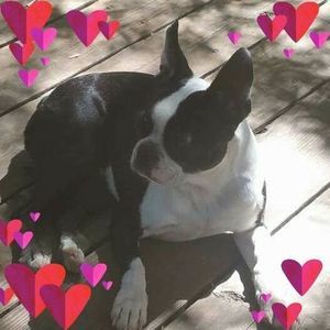 Meet your Posher, Carla